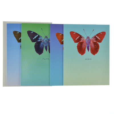 Walter Knabe Notecard Set Butterfly Variety