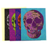 Walter Knabe Notecard Set Skull Mankind Variety